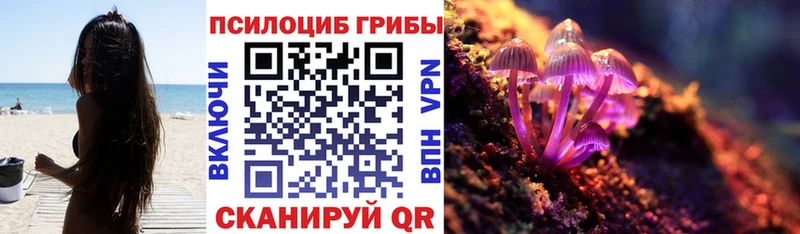 цены   Горняк  OMG зеркало  Галлюциногенные грибы прущие грибы 